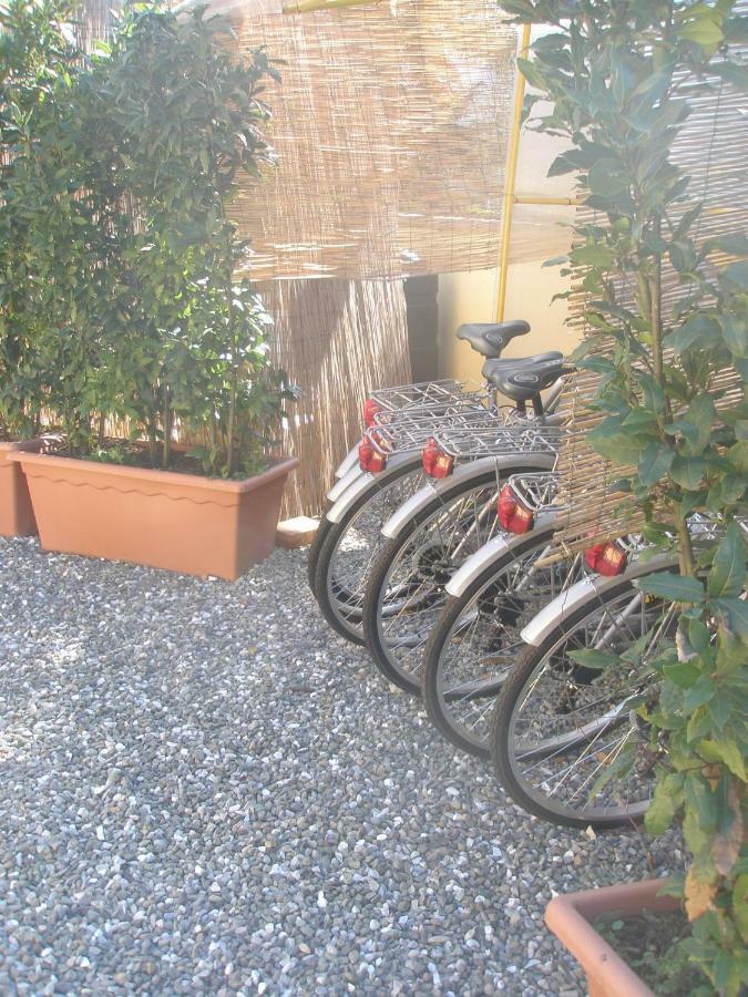 B&B La Rondine Tra Pisa E Lucca San Giuliano Terme Exterior foto