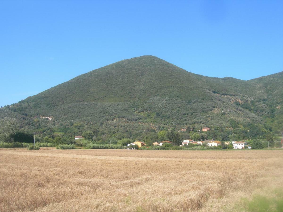 B&B La Rondine Tra Pisa E Lucca San Giuliano Terme Exterior foto